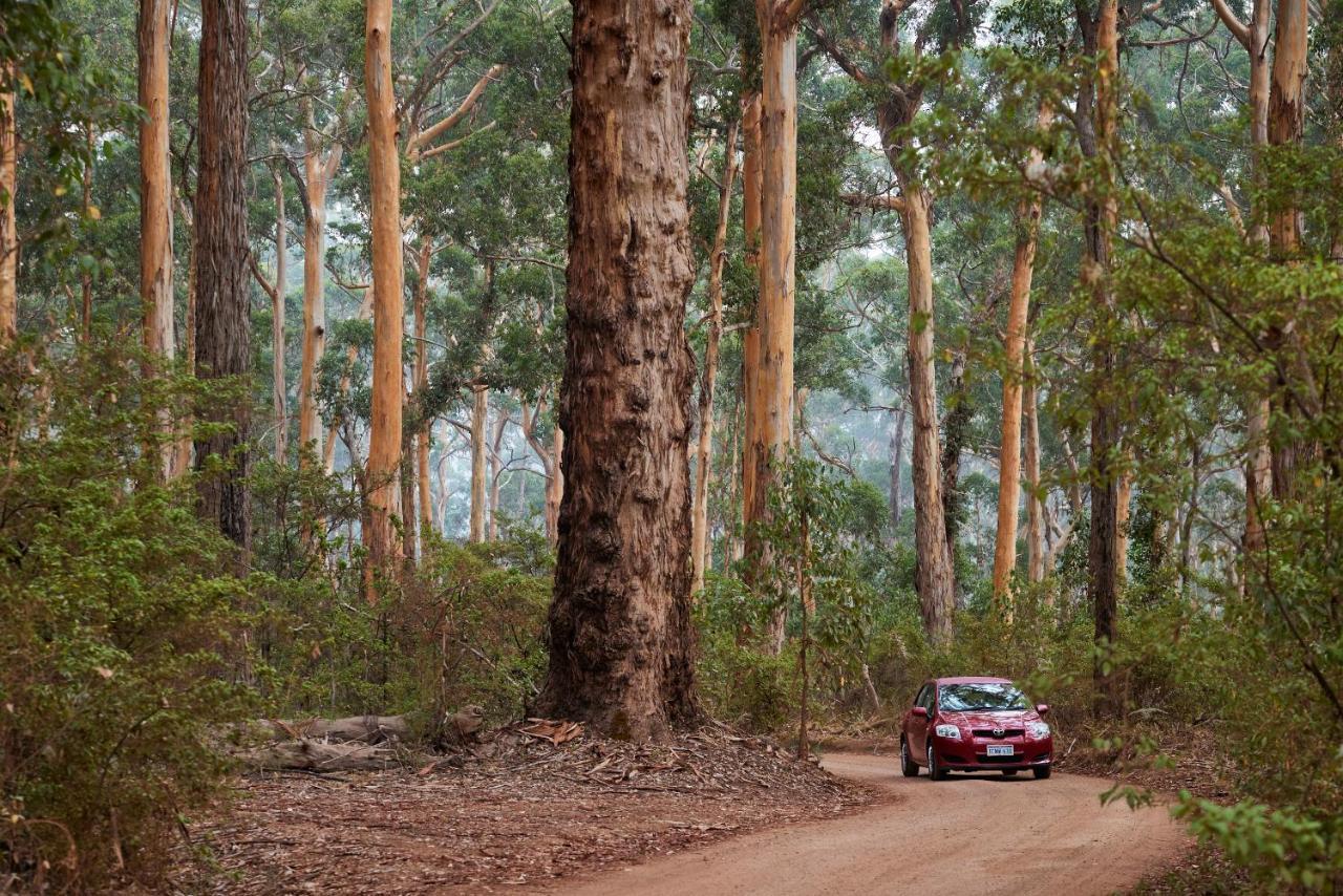 Rac Margaret River Nature Park Екстериор снимка