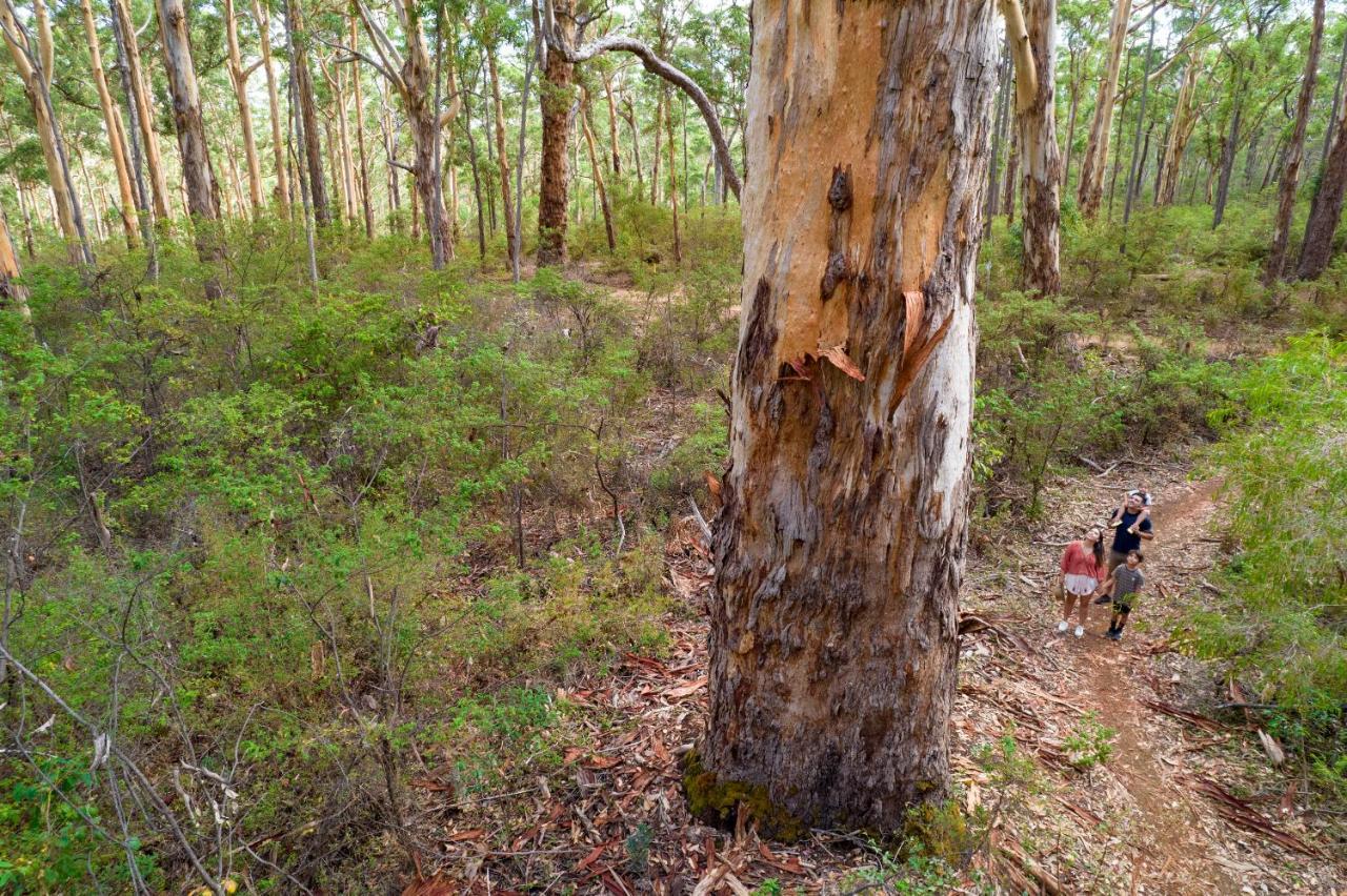 Rac Margaret River Nature Park Екстериор снимка
